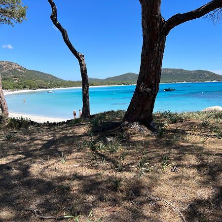 Palombaggia Villa Porto-Vecchio  Ngoại thất bức ảnh