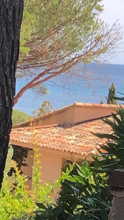 Palombaggia Villa Porto-Vecchio  Ngoại thất bức ảnh